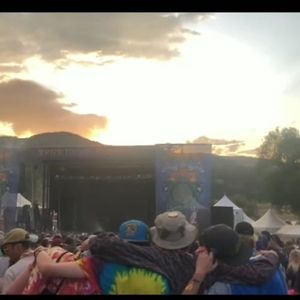 Meet your Posher, Tom